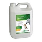 Anti-Viral & Anti-Bacterial 5L Liquid Soap - Aqueos