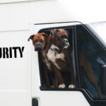 Security Dog First Aid Level 2 (VTQ)