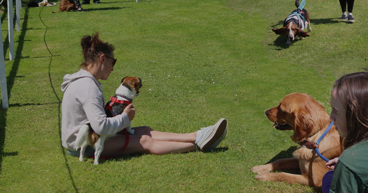 lady holding her dogs in park