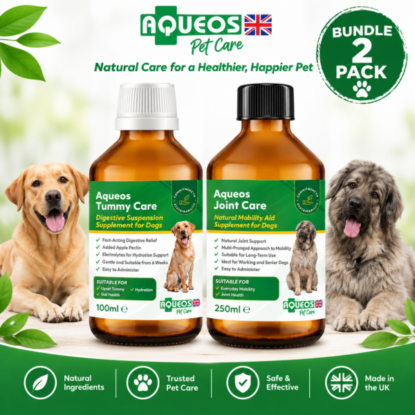 Aqueos Tummy & Joint Care Bundle | Dog Digestive & Mobility Support (Pre Order) - Image 2