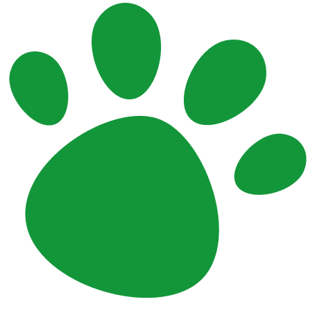 Dogs Right Paw