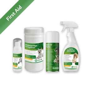 First Aid Essentials Bundle