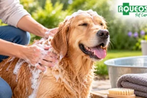 dog itchy skin shampoo aqueos