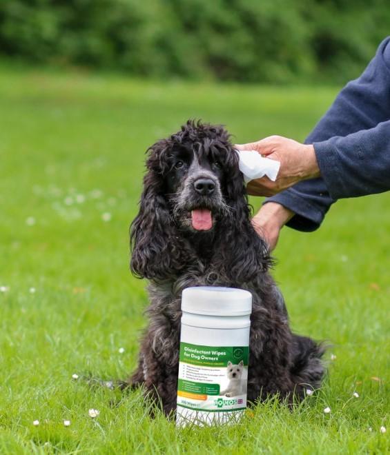 Dosinfectant wipes for smelly dogs-1