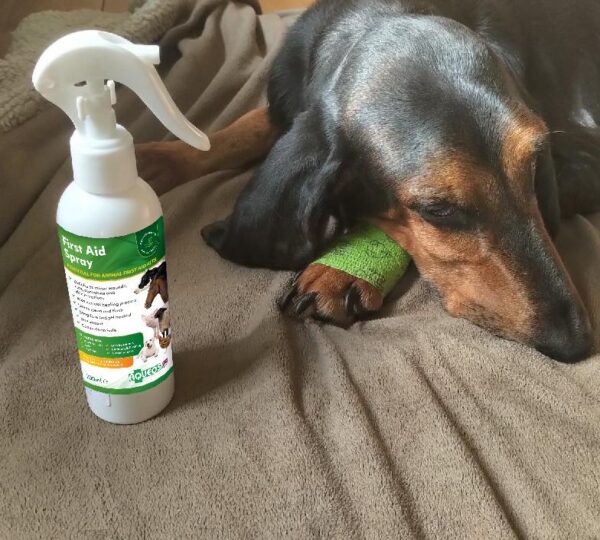 Aqueos First Aid Spray for Dogs-2