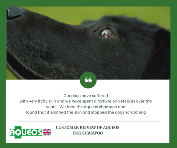 Dog shampoo for itchy skin or allergies-2