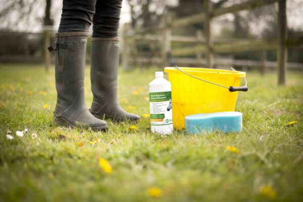 Aqueos Anti-Bacterial Horse Shampoo with bucket-1