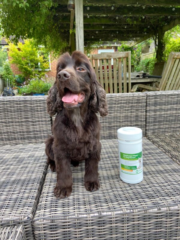Disinfectant wipes for fox and badger poo-2