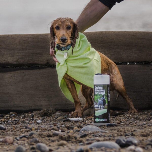 dog drying towel-1