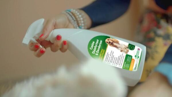 Deodoriser for smelly dogs-1