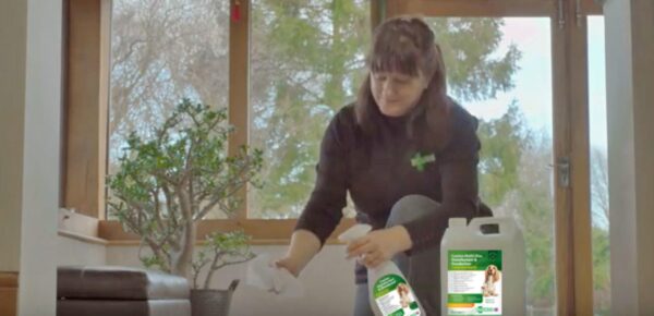 Canine Disinfectant for dogs-2