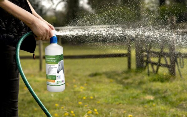 Aqueos Anti-Bacterial Horse Shampoo in use for itchy skin-1