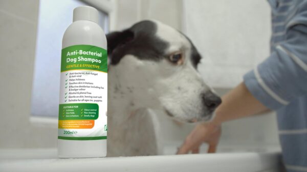 Dog shampoo for itchy skin-1