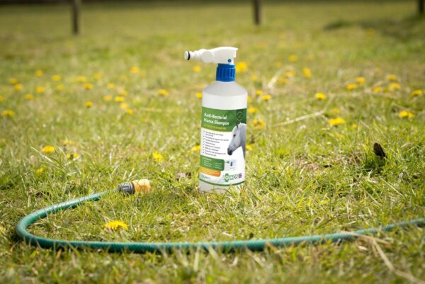 Aqueos Anti-Bacterial Horse Shampoo with bucket-2
