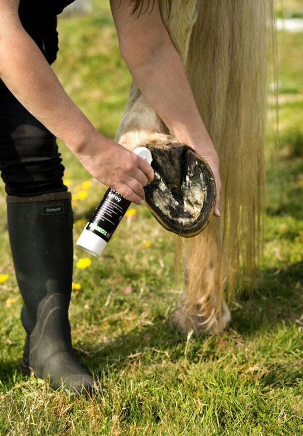 Aqueos First Aid Spray for Horses-1
